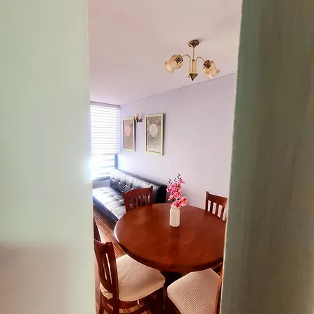 Apartamento 1 Habitacion Santiago Centro
